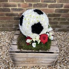 3D Football Personalised Colours