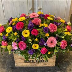 Vibrant Tribute Spray