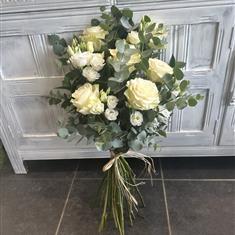 Elegant Natural Sheaf